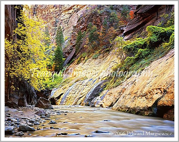 450139---Golden walls and colorful foliage in the Virgin Narrows